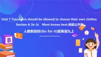 初中英语人教版（2024）九年级全册Unit 7 Teenagers should be allowed to choose their own clothes. Section A完美版ppt课件
