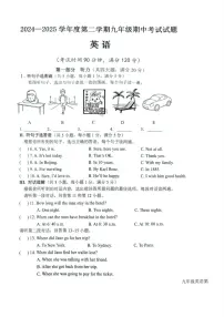 海南省海口市2024—2025学年九年级下学期期中考试英语试题