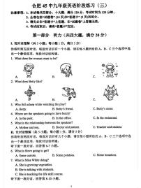 2025安徽中考【英语】合肥45中三模（试卷+答案）