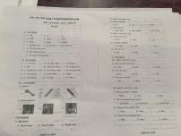 河北省衡水市第七中学2024-2025学年七年级上学期10月月考英语试题