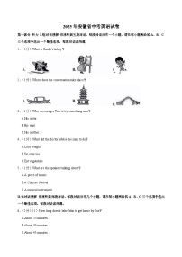 2025年安徽省中考英语试卷及答案