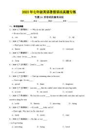 专题14 形容词的基本用法-2025年七年级英语下册暑假语法真题专练（通用版）（含答案+解析）
