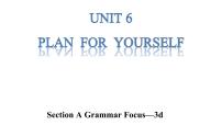 英语八年级上册（2024）Grammar Focus备课ppt课件