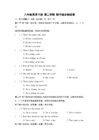 八年级英语下册 第二学期 期中综合测试卷（人教河南版 2025年春）