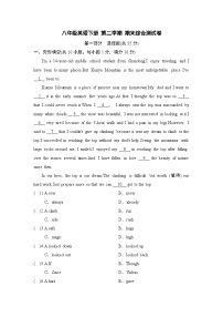 八年级英语下册 第二学期 期末综合测试卷（人教宁夏版 2025年春）