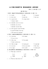 2025年春九年级英语下册  期末综合测试卷（人教河北版）