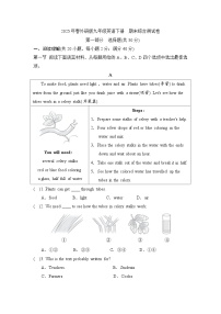 2025年春外研版九年级英语下册  期末综合测试卷