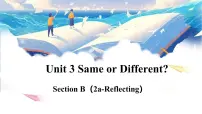八年级上册（2024）Vocabulary in Use课文配套课件ppt