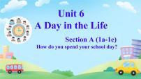 人教版（2024）七年级上册（2024）Unit 6 A Day in the Life Section A教学演示ppt课件