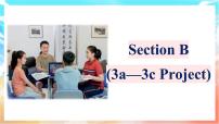 人教版（2024）八年级上册（2024）Unit 8 Let's Communicate!Section B3a-3c课堂教学课件ppt
