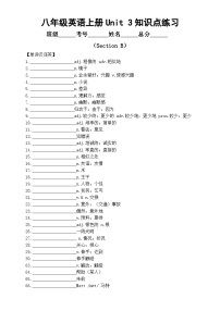 初中人教版（2024）Project测试题