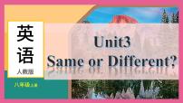 英语人教版（2024）Unit 3 Same or Different?Section B1a-1e图片ppt课件