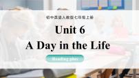 人教版（2024）七年级上册（2024）Unit 6 A Day in the Life Section B评优课ppt课件