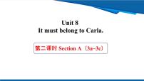 初中英语人教版（2024）九年级全册Unit 8 It must belong to Carla. Section A教案配套ppt课件