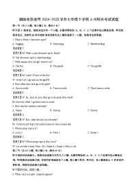 湖南省娄底市2024-2025学年七年级下学期6月期末考试英语试卷（解析版）