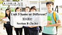 人教版(2024)八年级上册(2024)Unit 3 Same or Different?Section B3a-3c教学课件ppt