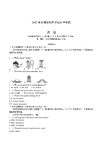 2025年安徽省初中学业水平考试 中考英语真题试卷（真题，含听力材料）