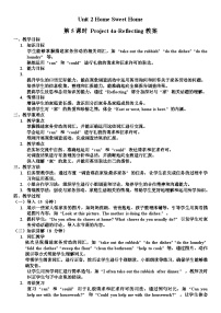 人教版（2024）八年级上册（2024）Project教案