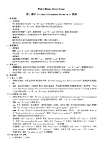 英语八年级上册（2024）Grammar Focus第2课时教案设计