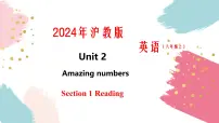 初中英语沪教牛津版（2024）八年级上册（2024）Unit 2 Amazing numbersSection 1 Experiencing and understanding languageRea