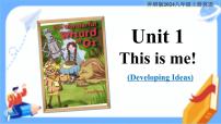 外研版（2024）八年级上册（2024）Understanding ideas授课课件ppt