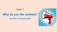 初中英语人教版（2024）七年级下册（2024）Unit 1 Animal friends图片ppt课件