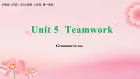 沪教牛津（五四制）（2024）八年级上册（2024）C Team spirit (Reading & Grammar in use)教课内容课件ppt