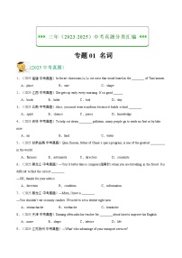 三年（2023-2025）中考英语真题分类汇编：专题01 名词（全国通用）（原卷版）