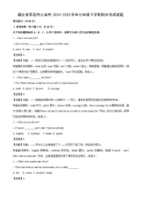 湖北省黄石市大冶市2024-2025学年七年级下学期期末考试英语试卷（解析版）