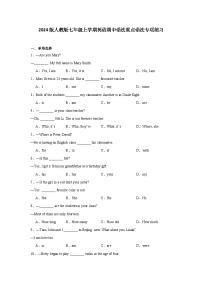 2024版人教版七年级上学期英语期中语法重点语法专项练习含答案