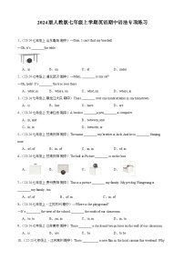 2024版人教版七年级上学期英语期中语法专项练习含答案