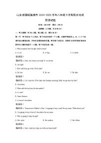 山东省聊城临清市2024-2025学年八年级下学期期末考试 英语试题(解析版)