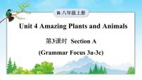 英语Grammar Focus教课课件ppt
