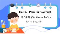 初中英语人教版（2024）八年级上册（2024）Unit 6 Plan for YourselfSection B3a-3c教课课件ppt