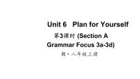 人教版（2024）八年级上册（2024）Grammar Focus课文内容课件ppt