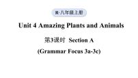 人教版（2024）八年级上册（2024）Section A图片课件ppt