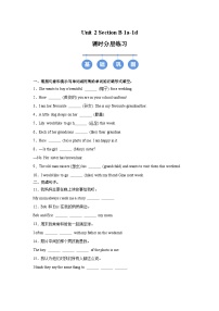 人教版（2024）七年级上册（2024）Unit 2 We're Family! Section B精品随堂练习题