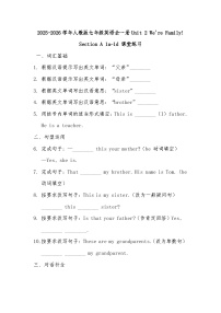 初中英语人教版（2024）九年级全册Unit 2 I think that mooncakes are delicious! Section A当堂达标检测题
