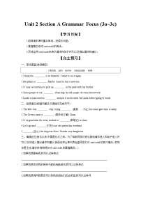 初中英语人教版（2024）八年级上册（2024）Grammar Focus学案设计