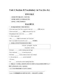 初中英语人教版（2024）八年级上册（2024）Vocabulary in Use学案