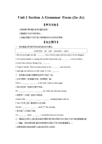 人教版（2024）八年级上册（2024）Grammar Focus学案