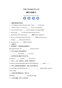 初中英语人教版（2024）八年级上册（2024）Section B优秀一课一练