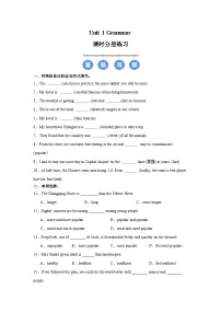 初中英语牛津译林版（2024）八年级上册（2024）Grammar优秀当堂达标检测题