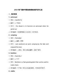 2025年广西中考英语单词短语好句子汇总（学案）