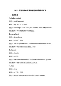 2025年湖南省中考英语单词短语好句子汇总（学案）