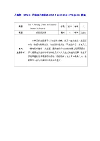 人教版（2024）八年级上册（2024）Project表格教案设计