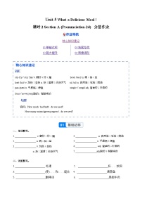 人教版（2024）八年级上册（2024）Pronunciation精品习题