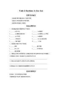 初中英语人教版（2024）八年级上册（2024）Unit 3 Same or Different? Section A 1a-1e导学案