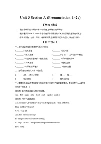 英语八年级上册（2024）Unit 3 Same or Different? Section A Pronunciation学案