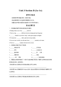 人教版（2024）八年级上册（2024）Unit 3 Same or Different? Section B 1a-1e学案